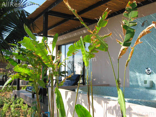 Purimuntra Resort & Spa 20